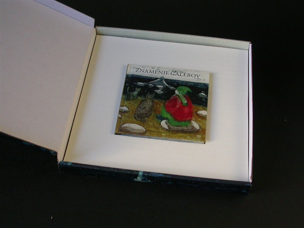 Znamenje galebov - knjiga v škatli 01